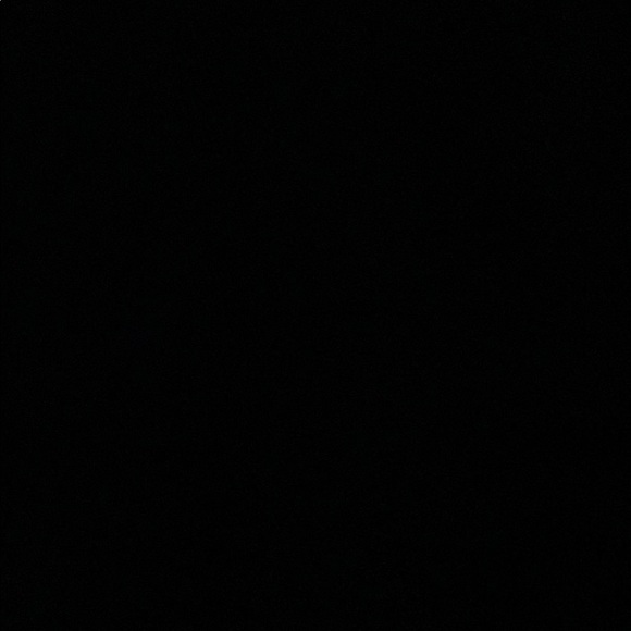 Meet your Posher, Ava - Picture 1 of 1